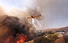 Число жертв пожаров в Калифорнии возросло до 79