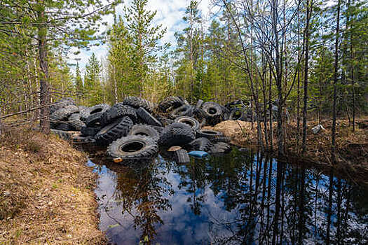 Волонтеры "Чистой Арктики" собрали почти 73 тонны покрышек в Усинске