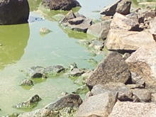 Водная концессия - 20 миллиардов на пропой?