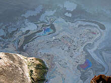 В Новороссийске жалобы на качество воды в реке объяснили завышенными ожиданиями