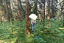 В лесополосе смоленского Ярцева обнаружен труп молодого мужчины