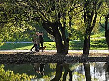 Вильфанд: 2025 год войдет в тройку самых теплых за всю историю