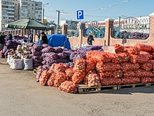 В российских торговых сетях появятся площадки для фермерской продукции
