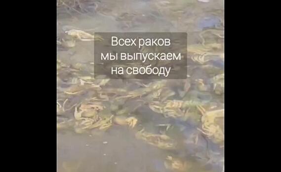 В Курске общественники борются против браконьеров-раколовов