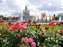 В Петербурге начался прием заявок на участие в VII сезоне премии "Золотой Трезини"