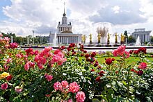 В Петербурге начался прием заявок на участие в VII сезоне премии "Золотой Трезини"