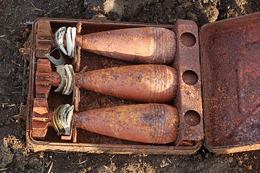Больше десяти снарядов времен войны нашли на берегу реки Северский Донецк