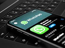 Артемий Лебедев назвал мессенджер WhatsApp «говноедами»