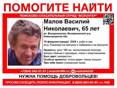 65-летний мужчина пропал в Нижегородской области во время прогулки с собаками