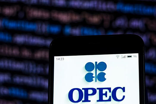 Bloomberg: страны ОПЕК+ не собираются увеличивать добычу после просьбы Трампа