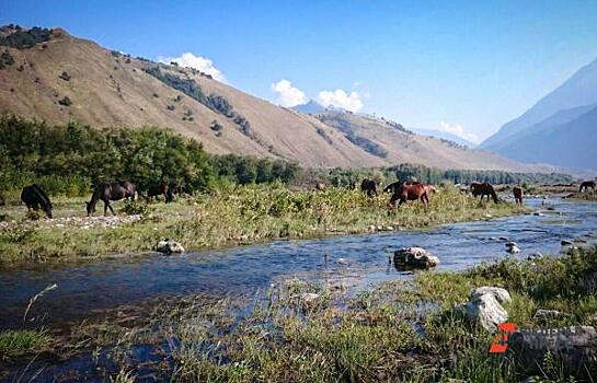 Новый инвестор построит в Алтайском крае отель за 150 млн рублей