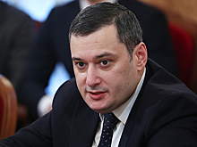 Хинштейн отозвал запросы о наказании ударившего женщину в Санкт-Петербурге полицейского