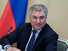 Володин назвал дело против депутатов Рады попыткой сорвать диалог с РФ