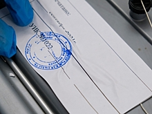 В Волгоградской области открылись избирательные участки