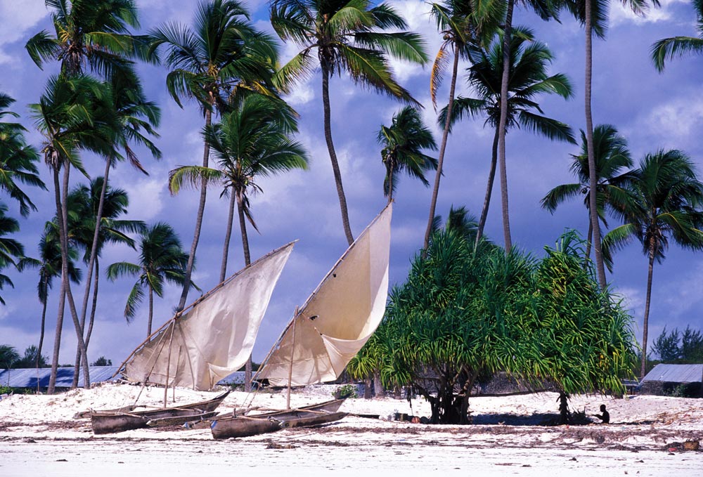 Остров Занзибар, Танзания, Африка