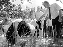 Популистская повестка отдана на откуп таким как Грудинин