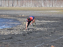 Озеро Клыгино с мертвой рыбой проверят на внешний фактор