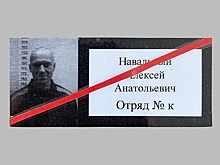Региональные депутаты потребовали допустить врачей к Навальному