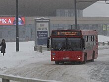 Профессор КФУ спрогнозировал в марте теплую погоду