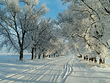 Эксперт рассказал, почему на Ставрополье идут аномальные снегопады