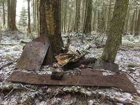 В Ленобласти вологодские поисковики помогли обнаружить место падения штурмовика Ил-2