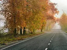 В Самарской области 18 ноября теплая погода побила 23-летний рекорд