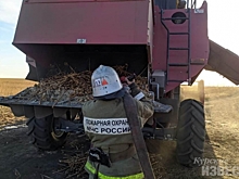 В Курской области из-за подсолнечника чуть не сгорел комбайн