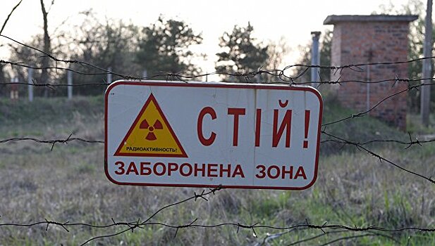 Сталкеров задержали под Чернобылем