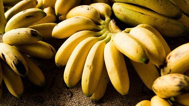 Какой сорт бананов-самый полезный
