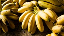 Какой сорт бананов является наиболее полезным