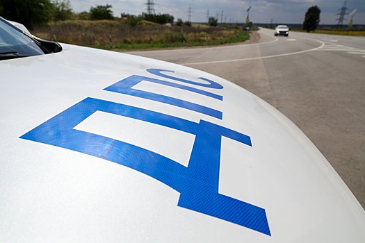 В Петербурге задержан наркодилер на дорогом электромобиле Tesla