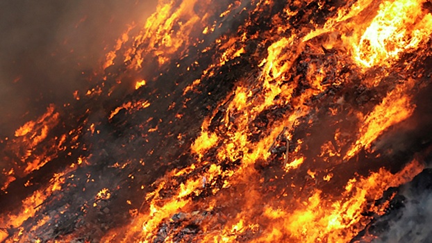 Крупный пожар произошел на мусорном полигоне Газипур в Дели