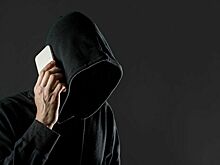 Мошенники украли у петербуржцев более 77 миллионов рублей за неделю