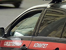 Двухлетняя девочка впала в кому после домашнего избиения