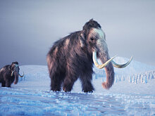 Почему вымерли мамонты: люди, климат или космический взрыв