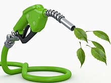 Немцы предложили новое биотопливо