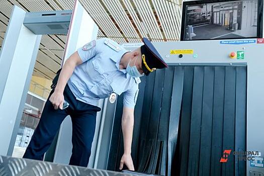 Петербургские депутаты хотят привлечь Росгвардию к охране Пулково