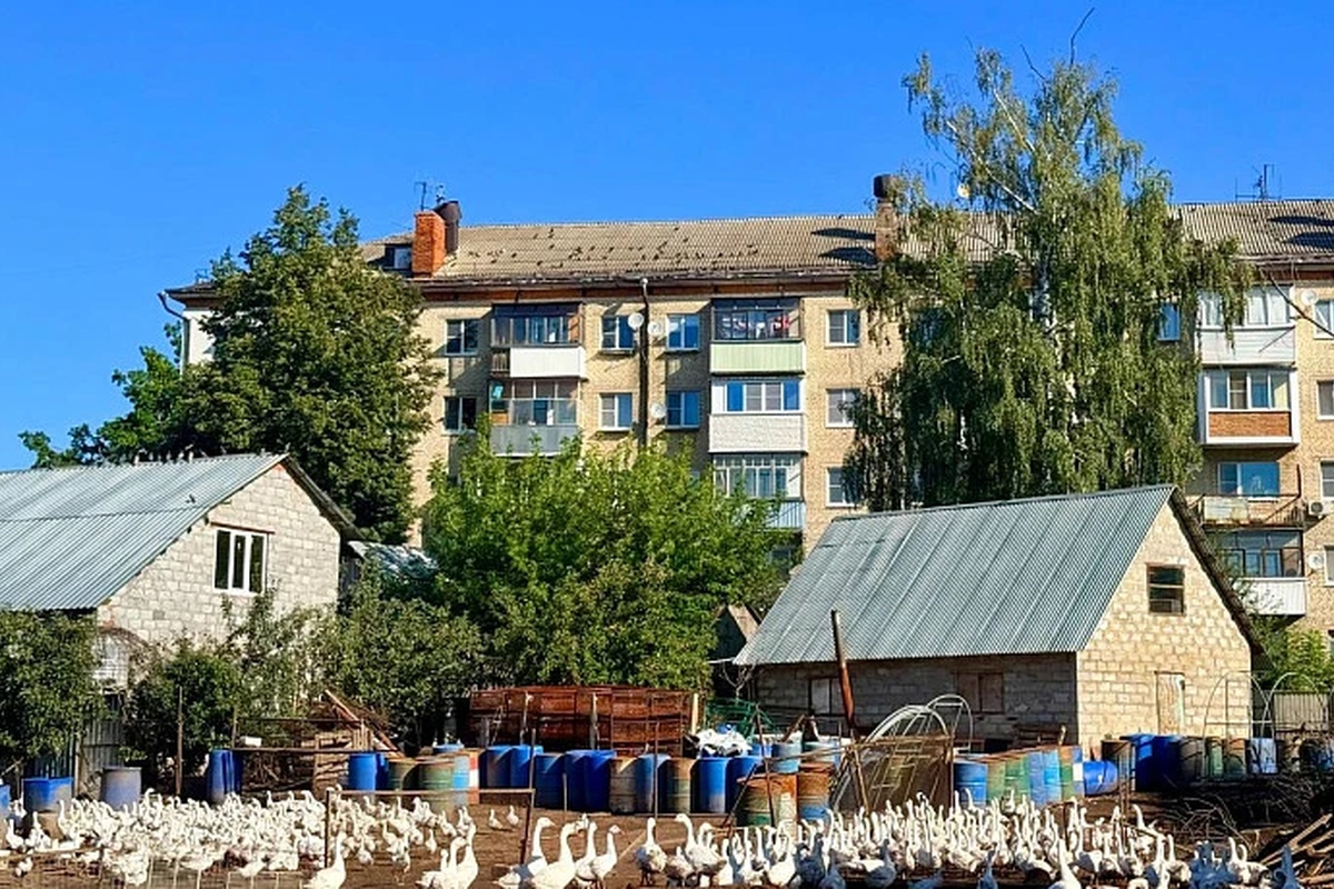 В Тульской области женщина организовала птицеферму прямо под окнами многоэтажек