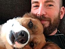 Актер из «Мстителей» нарушил молчание после публикации фото с гениталиями