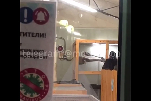Сотрудница подмосковного зоопарка избила енота и попала на видео