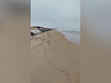 Новые выбросы мазута зафиксированы на участке береговой линии в Анапе