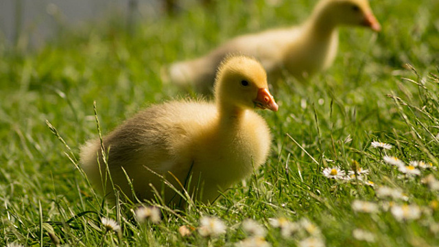 Приметы на 10 июня 2022 года: что нельзя делать в этот день