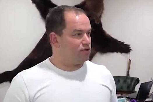 В России порассуждали о причинах объявления иноагентом военблогера Алехина