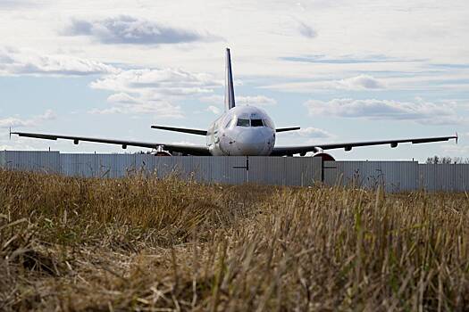 В деле посадившего самолет на поле российского пилота появились новые данные