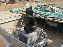 Скульптура "Мишки" вернулась в фонтан Первомайского сквера в Новосибирске