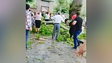 Появилось видео с места падения ветки чинары на россиян в Азербайджане