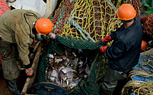 СМИ: российским рыбакам стали массово отказывать в ремонте судов