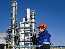 "Газпром" поставил на российский рынок максимум газа с 2013 года