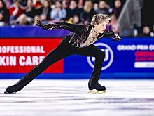 Агент Закарян рассказал о проблемах премии ISU Skating Awards