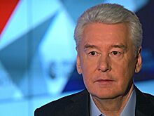 Собянин выступил за сокращение количества дворников-мигрантов
